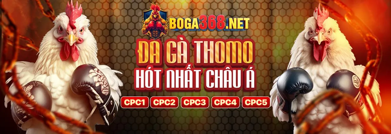 Đá Gà Trực Tuyến Go9 Trang Chủ Chính Thức