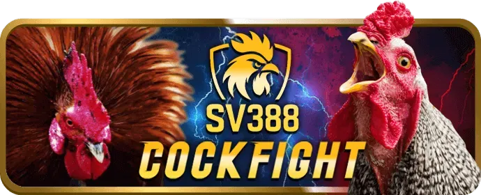 Chiến lược Baccarat